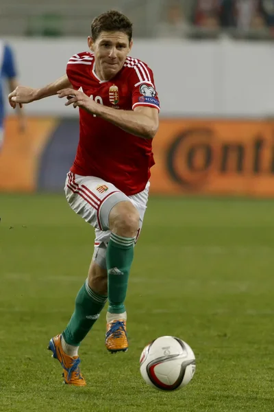 Finlandiya Uefa Euro 2016 vs Macaristan niteleyici futbol maçı