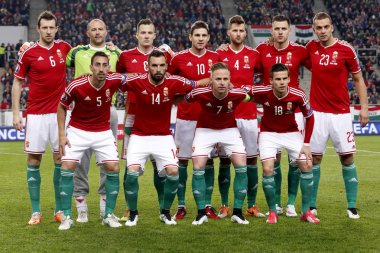 Macaristan vs Yunanistan Uefa Euro 2016 niteleyici futbol maçı