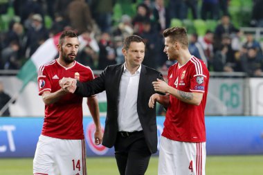 Macaristan vs Yunanistan Uefa Euro 2016 niteleyici futbol maçı