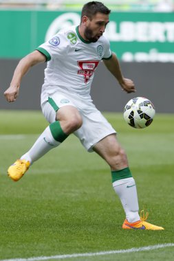 Ferencvaros vs Videoton Otp Bankası Ligi futbol maçı