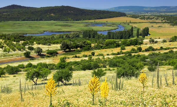 Tihany-halvön i Ungern — Stockfoto