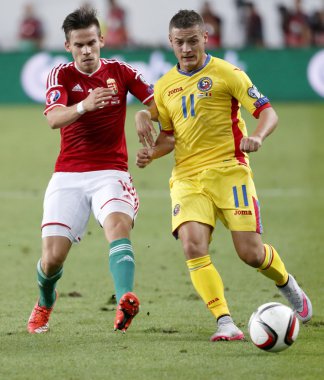 Macaristan ve Romanya Uefa Euro 2016 niteleyici futbol maçı