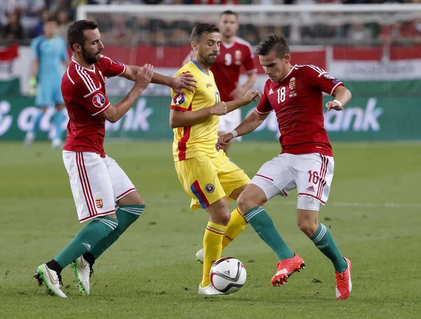 Hungary vs. Romania UEFA Euro 2016 qualifier football match — Stock Photo, Image