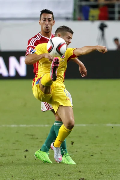 Macaristan ve Romanya Uefa Euro 2016 niteleyici futbol maçı