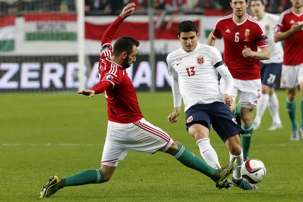 Hungary vs. Norway UEFA Euro 2016 qualifier play-off football match — Stock Photo, Image