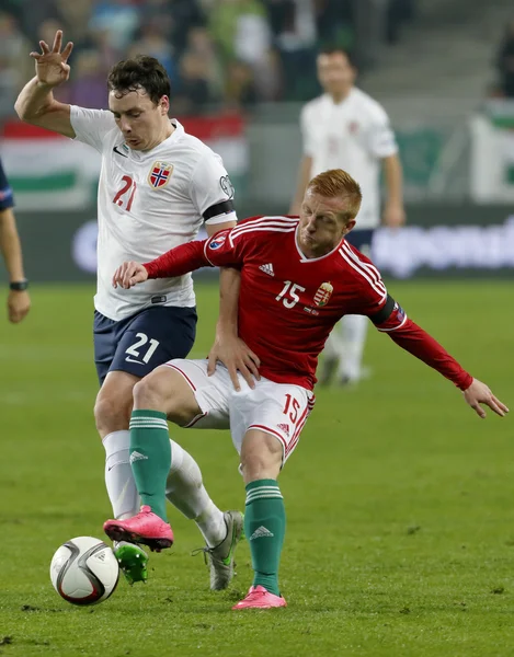 Hungary vs. Norway UEFA Euro 2016 qualifier play-off football match — Stock Photo, Image