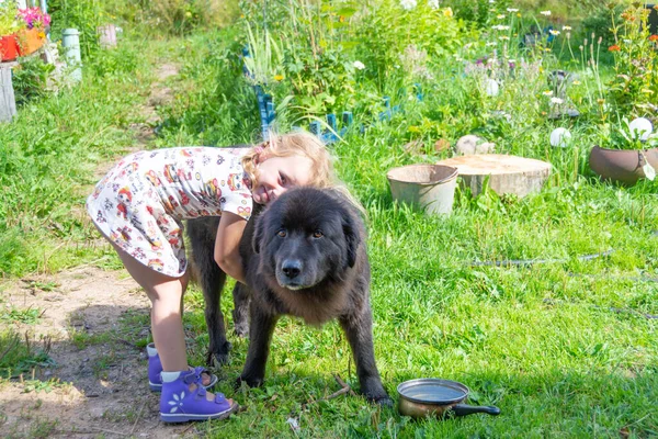 Uma Menina Abraça Grande Cão Preto — Fotografia de Stock