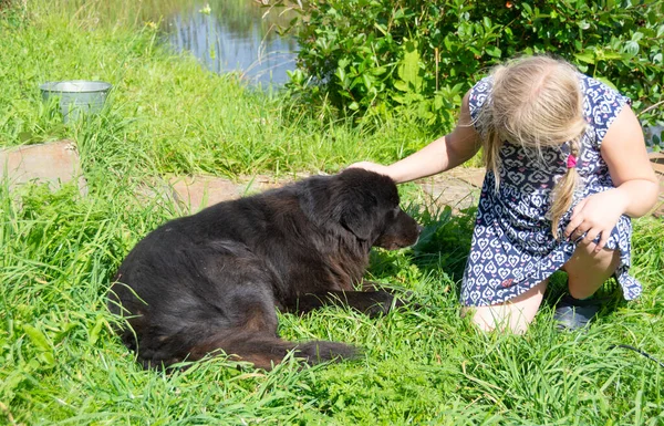 Uma Menina Abraça Grande Cão Preto — Fotografia de Stock