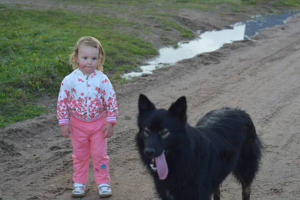 Uma Menina Abraça Grande Cão Preto — Fotografia de Stock