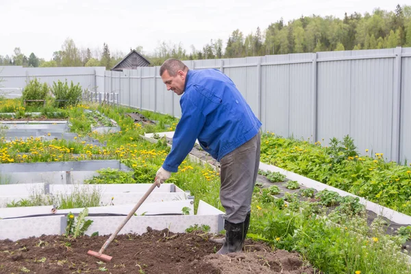 İş ülkesi. Dacha 'da, bir adam ekin için toprağı işliyor.. 