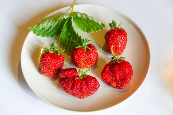 맛있는 딸기는 정원에서 자랐다 — 스톡 사진