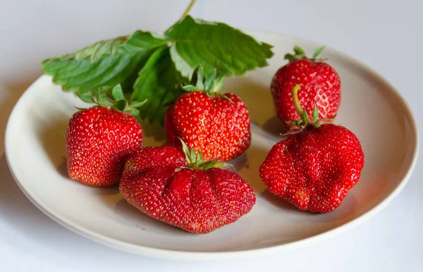 Large Variety Ripe Juicy Strawberries — Stock Photo, Image