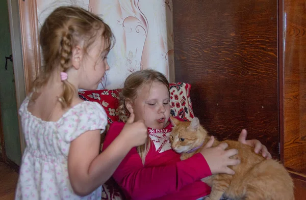 Menina Está Segurando Seu Amado Gato Estimação Seus Braços — Fotografia de Stock