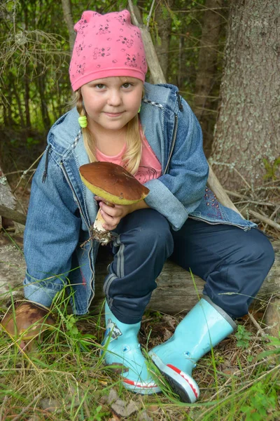 Menina Recolhe Cogumelos Floresta — Fotografia de Stock