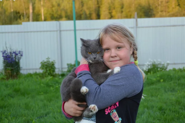 Menina Está Segurando Seu Amado Gato Estimação Seus Braços — Fotografia de Stock