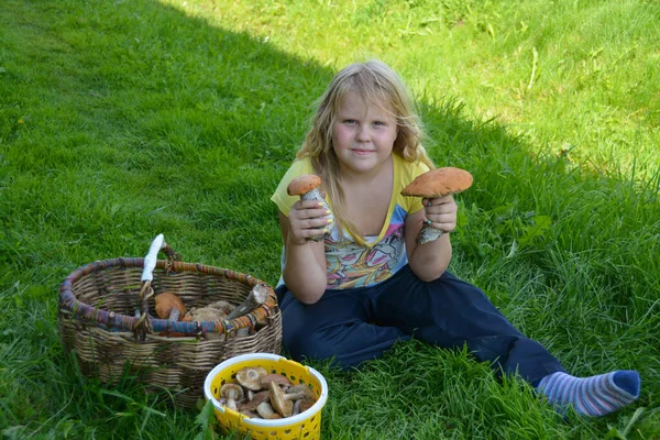Lány Gombákat Gyűjt Erdőben — Stock Fotó