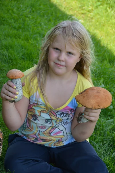 Das Mädchen Sammelt Pilze Wald — Stockfoto