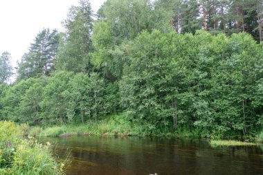 Kutsal anahtar. Okovetsky kutsal baharı. Okovtsy, Selizharovsky bölgesi, Tver bölgesi, Rusya. 