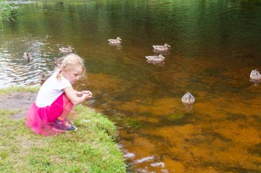 Bir çocuk Okovetsky kutsal baharında ördekleri besler. Okovtsy, Selizharovsky bölgesi, Tver bölgesi, Rusya. 
