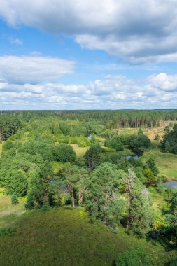 Güzel yaz manzarası. Doğanın güzelliği.