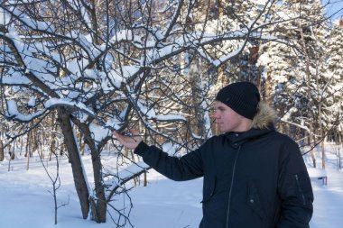Bir genç kışın karla kaplı bir ormanda yürür ve güzel manzaraya hayran kalır.. 