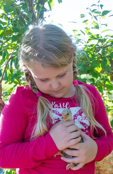 Wiosce Ulicy Dziewczyna Trzyma Małego Kurczaka Rękach — Zdjęcie stockowe
