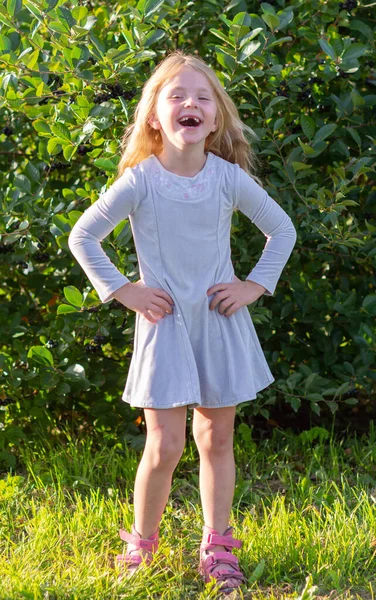 Emozioni Una Bambina Esprime Emozioni Diverse Sul Suo Viso — Foto Stock