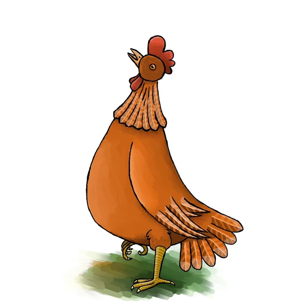 Höns, fjäderfä, kyckling — Stockfoto