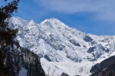 Kışın karların altında ağaçlarla kaplı yüksek dağlar - Himachal