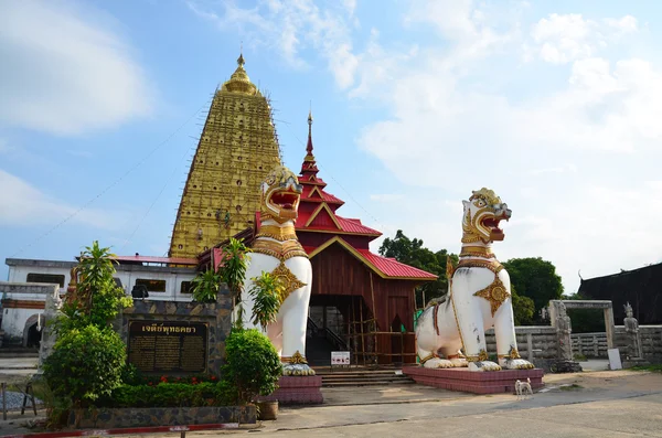 Singha em Chedi Buddhakhaya localização em perto de Wat Wang Wiwekaram — Fotografia de Stock