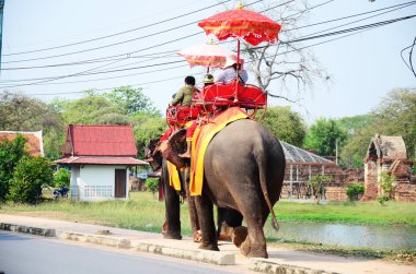 Ayutthaya Antik şehir etrafında tur için fil sürme Gezgin