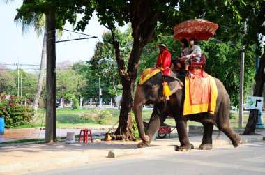Ayutthaya Antik şehir etrafında tur için fil sürme Gezgin