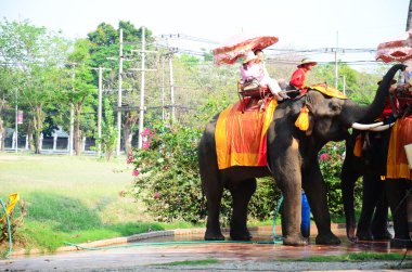 Ayutthaya Antik şehir etrafında tur için fil sürme Gezgin