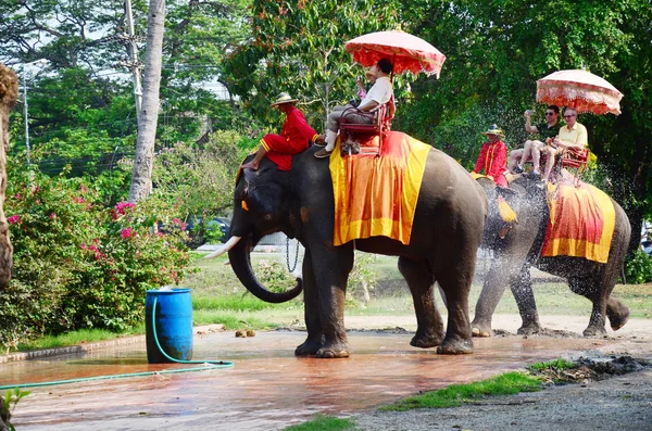 Ayutthaya Antik şehir etrafında tur için fil sürme Gezgin
