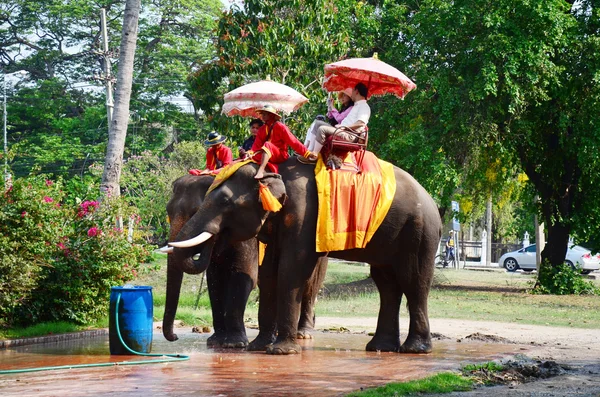 Reiziger rijden olifant voor tour rond de oude stad Ayutthaya — Stockfoto