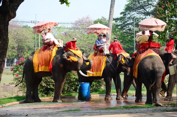 Reiziger rijden olifant voor tour rond de oude stad Ayutthaya — Stockfoto