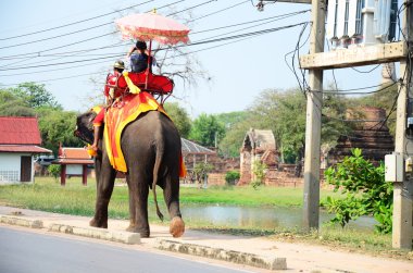 Ayutthaya Antik şehir etrafında tur için fil sürme Gezgin