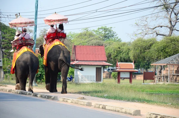 Reisender reitet Elefant für Tour durch antike Stadt Ayutthaya — Stockfoto