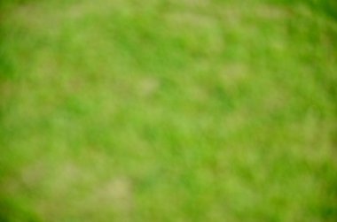 Bulanık çim arka plan 