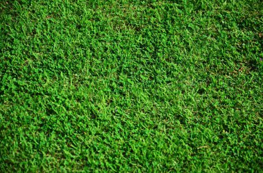 Ot ve yaprak arka plan