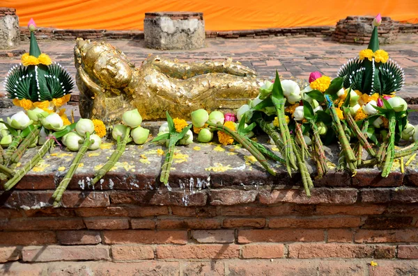 Квітка лотоса для молитви Перекладання Будди — стокове фото