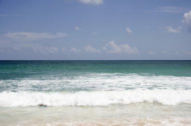 Gezgin yüzmek ve dalga deniz Nai Harn plajlar oynamak. 