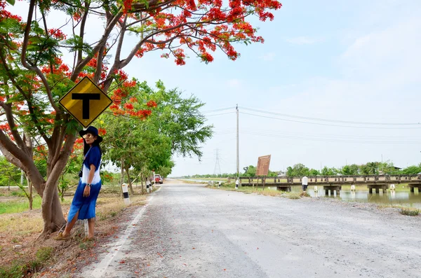 タイの女性着用服藍ナチュラル カラー肖像画 traff — ストック写真