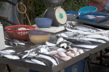 Ağırlık ölçekli yerel pazarda Satılık Satılık birçok balık 