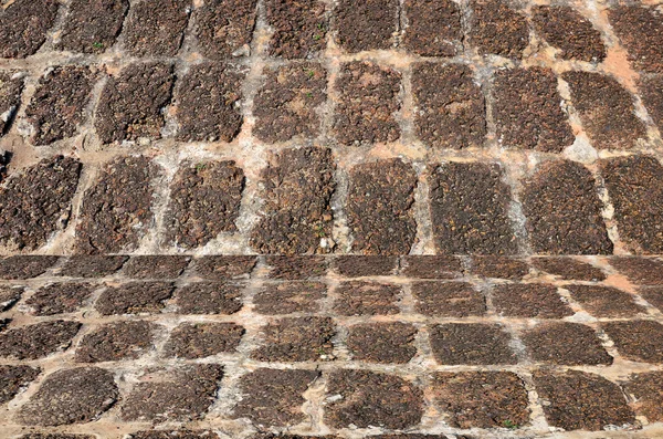 Starożytne podłoga laterite kamień — Zdjęcie stockowe