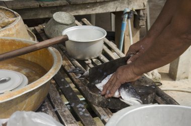 Taylandlı erkekler yaşlılar hazırlamak ve ölçeklemek ve balık Barramundi temiz 