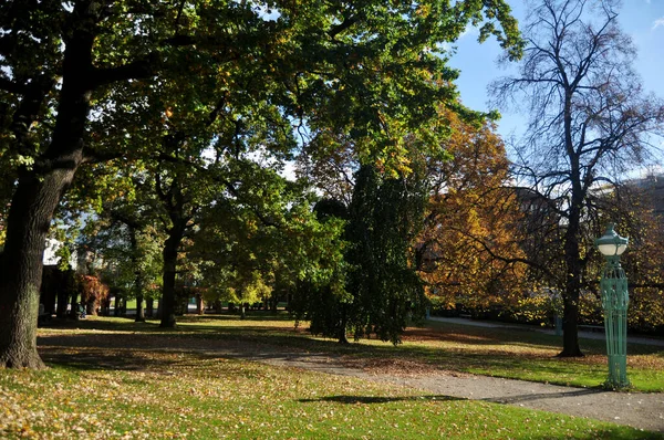 Duitse Buitenlandse Reiziger Wandelen Reis Bezoek Rust Ontspannen Mannheimer Wasserturm — Stockfoto