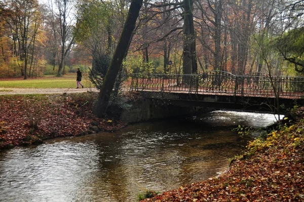 Vue Paysage Arbre Plante Béton Pont Traversant Petit Canal Eau — Photo