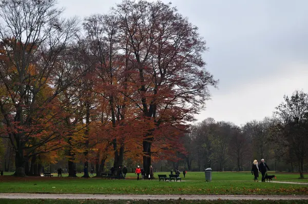 Alman Halkı Yabancı Gezginler Için Sonbahar Mevsiminde Leopold Park Kamu — Stok fotoğraf