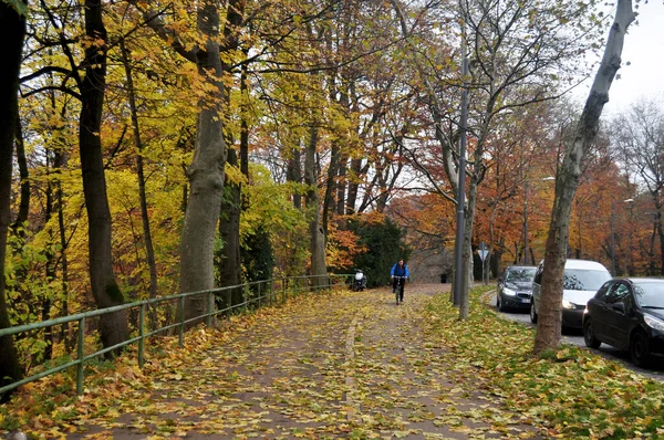 2016年11月16日 德国巴伐利亚 利奥波德公园公园公园的景观将于秋季开放 供德国男子骑自行车和骑自行车的人在人行道上工作 — 图库照片